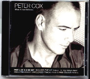 Peter Cox - What A Fool Believes 2 x CD Set